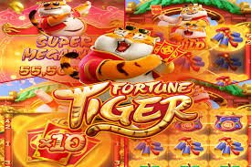 6z bet