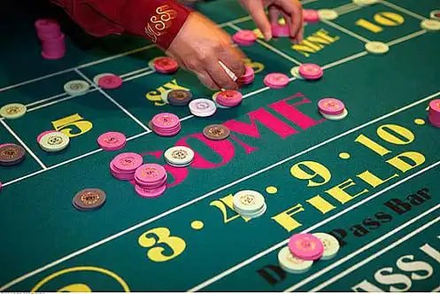 6z bet